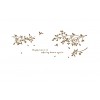 Birds and Branches  Quote Wall Decal